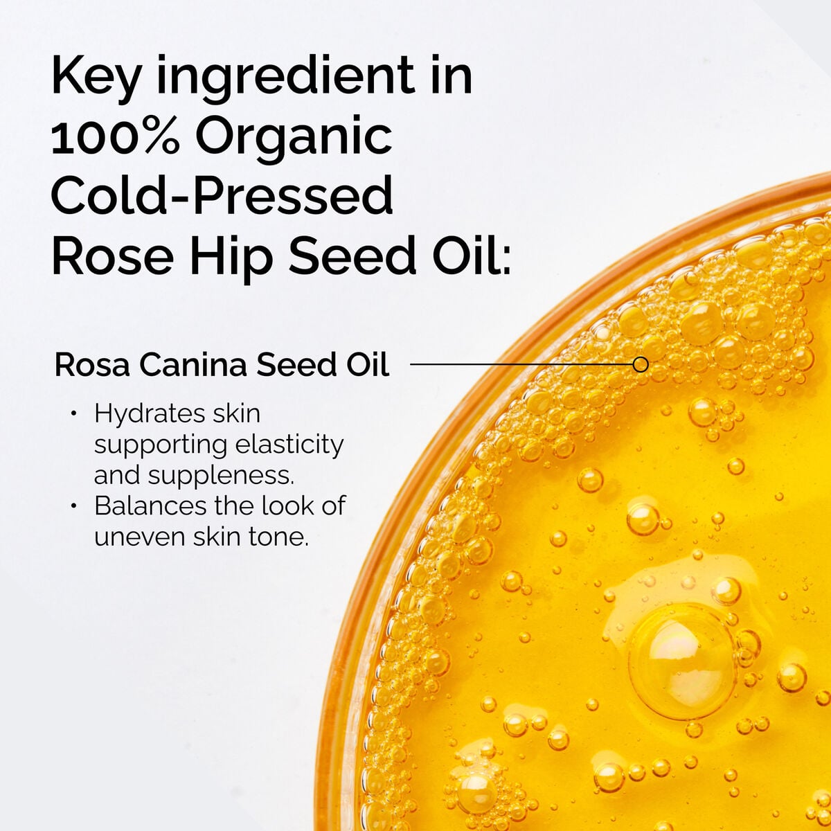 100-organic-cold-pressed-rose-hip-seed-oil-c5 FY25-D41247-ORD-Web-PDP-100-Rose-Hip-Oil-1x1-EN-2.jpg