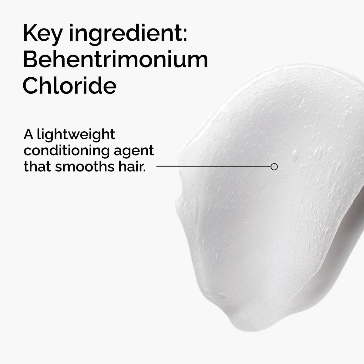 behentrimonium-chloride-2-conditioner-f6 FY25-D41247-ORD-Web-PDP-BTC-1x1-EN-2a.jpg