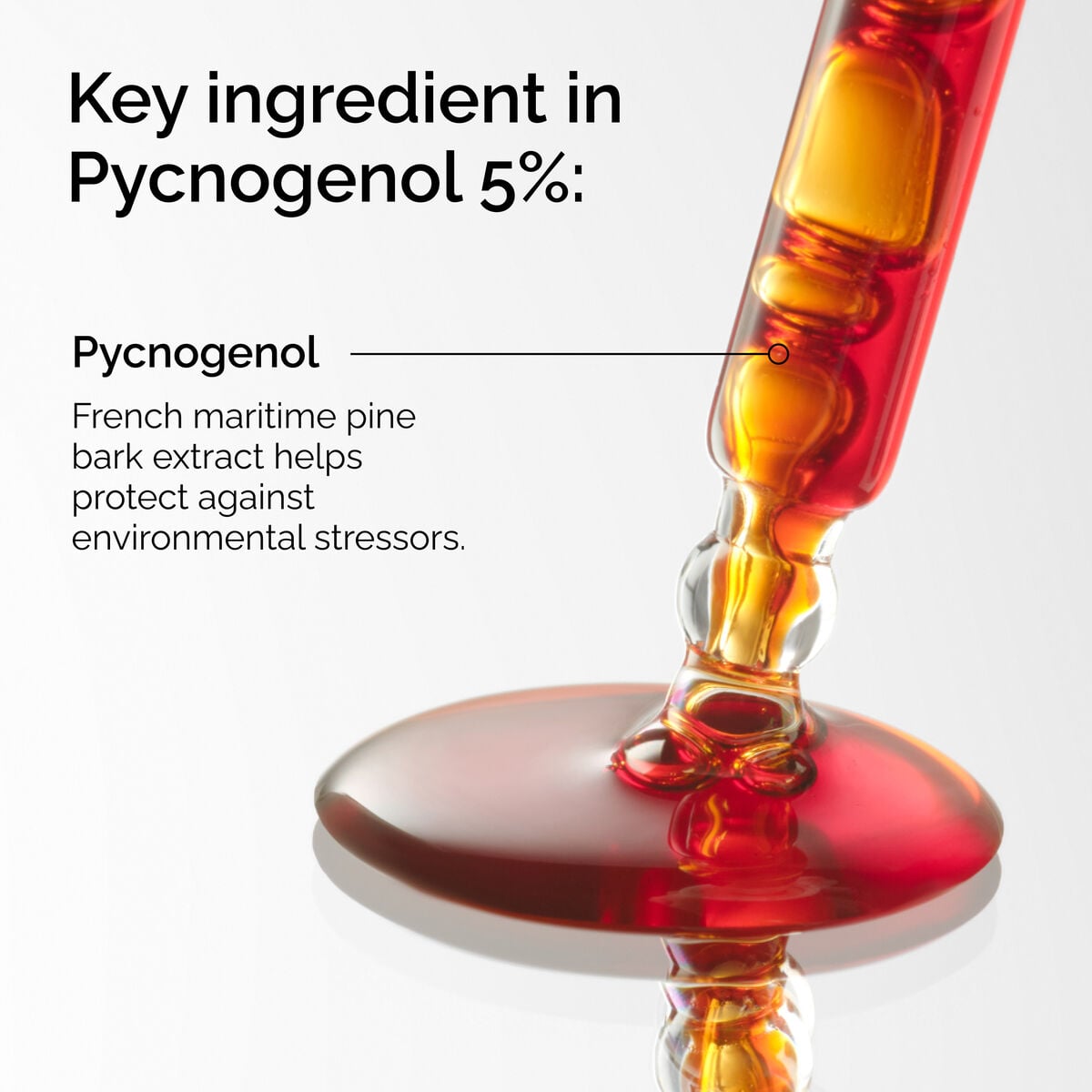 pycnogenol-5-p7 FY25-D41247-ORD-Web-PDP-Pyc-5pct-1x1-EN-2a.jpg