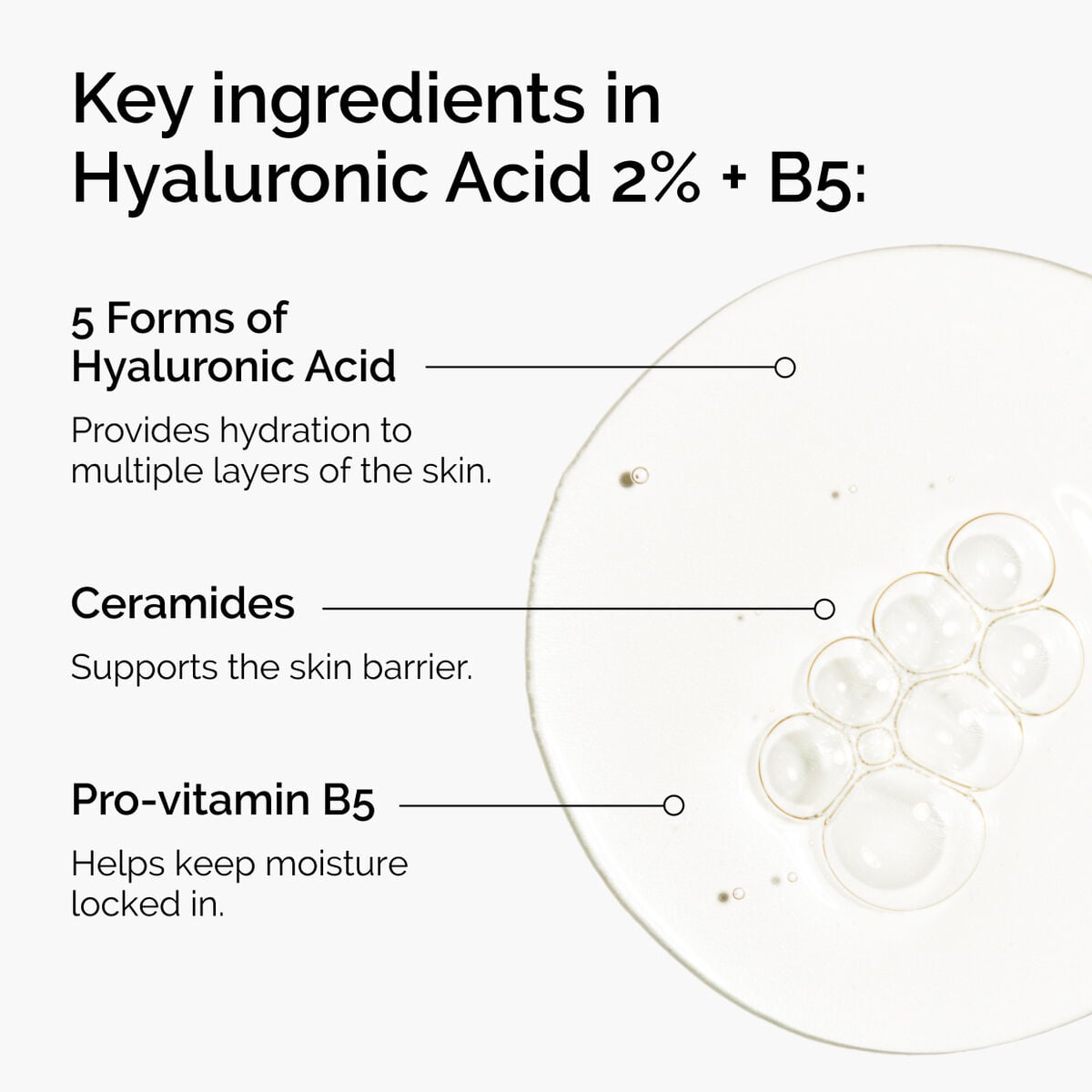 hyaluronic-acid-2-b5-with-ceramides-h5 ord-hyaluronic-acid-2pct-b5-hydrating-serum-ingredients-graphic.jpg