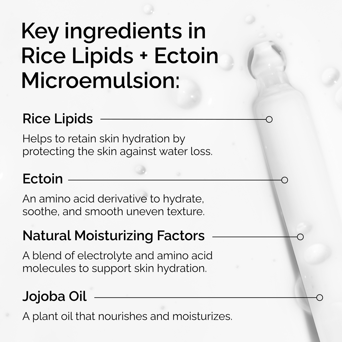 rice-lipids-ectoin-microemulsion-w9 ord-rice-lipids-ectoin-microemulsion-key-ingredients.png