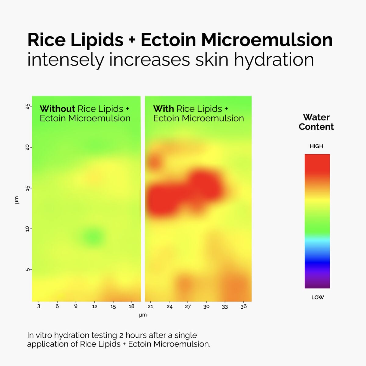 rice-lipids-ectoin-microemulsion-w9 ord-rice-lipids-ectoin-microemulsion-thermal-before-after.jpg